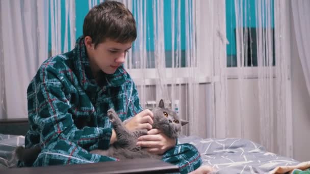 Pečující Dětské Objetí Milovaná Šedá Nadýchaná Kočka Zatímco Sedí Posteli — Stock video