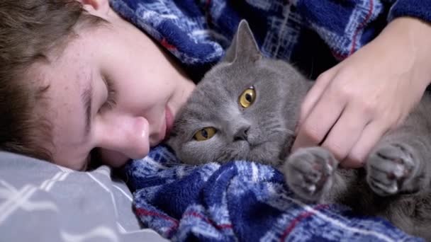 Sleepy Child Hugging Stroking Fluffy Cat Lying Bed Bedroom Close — Stock Video