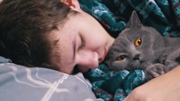 Sleepy Child Hugging Fluffy Cat Lying Bed Bedroom Close Tired — Stock Video