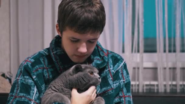 有爱心的孩子抱着心爱的灰绒绒猫 坐在房间的床上 身穿睡衣的疲惫男孩正在睡觉前和一只家养的宠物玩耍 与宠物的友谊 该睡觉了 — 图库视频影像