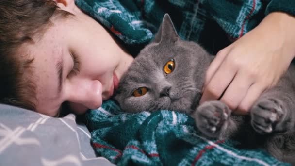 Álmos Gyerek Ölelés Stroking Egy Bolyhos Macskával Feküdni Egy Ágyon — Stock videók