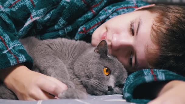 Uykucu Çocuk Sarılması Yumuşak Kediyle Felç Yatak Odasında Yatakta Yatmak — Stok video