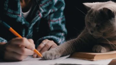 Dişi El, Masada Oynayan Kedi ile birlikte Not Defterinde Kalem Yazar. Kapatın. Bulanık hareket. Karanlık oda. Kız evcil hayvanla ödev yapıyor. Evde eğitim al. Gece vakti. Gölge. Akşam yatak odasında..