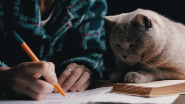 Kobieta Pisze Długopisem Notatniku Wraz Kotem Zabawy Stole Zamknij Drzwi — Wideo stockowe