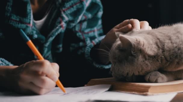 メモ帳にペンが付いている女性の手書きとテーブルの上のふわふわの猫を打つ クローズアップ ブレイクした動き ダークルーム 女の子はペットと宿題をする 自宅で教育する ナイトタイム シャドー 夜のベッドルーム — ストック動画