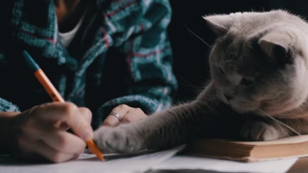 Kobieta Pisze Długopisem Notatniku Wraz Kotem Zabawy Stole Zamknij Drzwi — Wideo stockowe