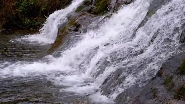 Крупный План Вид Горный Поток Водопад Карпатах Быстрый Поток Воды — стоковое видео