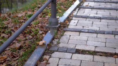 Islak Yapraklar, Kaldırımlar Köprüsü yakınındaki parkta yatıyor, Bulutlu Sonbahar Havası. Altın sonbahar. Sonbahar arkaplanı, manzara. Tırabzanlı merdiven. Uzayı kopyala Hiç kimse. Güneş ışığı. Renkli akçaağaç yaprakları.