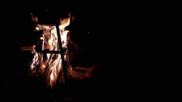 Grupo Personas Asan Malvaviscos Skewers Cerca Fuego Ardiente Bosque Nocturno — Vídeos de Stock
