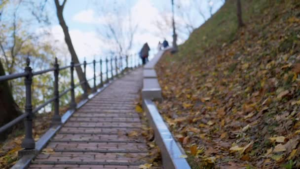 Emberek Elsétálnak Egy Gyalogos Híd Mellett Bukott Őszi Levelek Hátterében — Stock videók