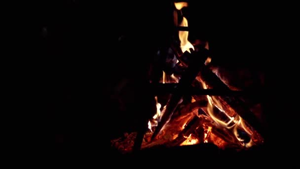 Вмираючий Вогонь Нічному Лісі Чорному Тлі Бомбардування Відкритому Повітрі Ізольовані — стокове відео