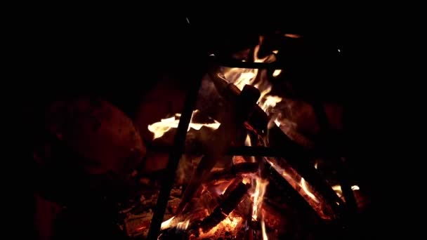 死于黑暗森林的篝火在黑色背景 篝火室外 孤立无援在燃烧的柴火的余焰中燃烧着红色的煤块 慢动作开火 复制空间 — 图库视频影像