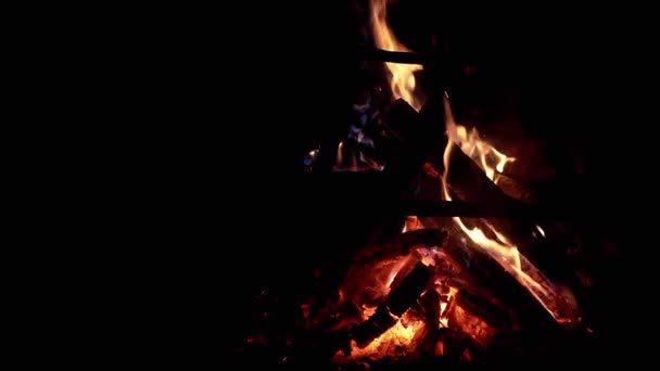 黒い背景にある夜の森でキャンプファイヤーを食べる ボンファイア アウトドア 孤立した 燃える木で燃える火の炎の中で赤い石炭を喫煙する スローモーション オープンファイアー スペースをコピーする キャンプ — ストック動画