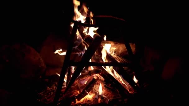 在黑暗背景下的夜晚森林中焚烧篝火 户外篝火熊熊燃烧 孤立无援明亮的火焰在烟雾和煤烟中升起 烧柴火模糊的动议 — 图库视频影像