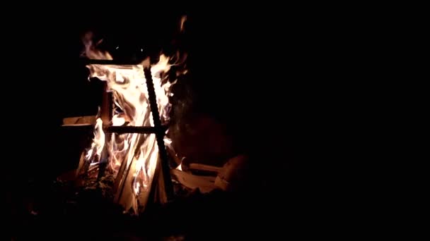 Hořící Táborák Nočním Lese Černém Pozadí Hořící Táborák Venku Izolovaný — Stock video