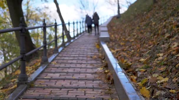 人们走过一座人行横道的桥 面对着秋天落叶的落叶 多彩的湿枫叶 爬上通往基辅Vladimir Hill的楼梯复制空间 模糊的动议 秋天的背景 — 图库视频影像