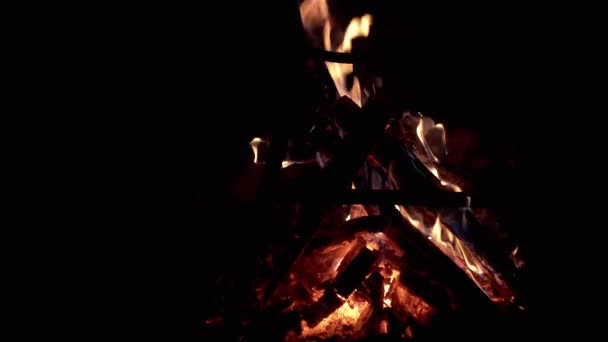 黒い背景にある夜の森でキャンプファイヤーを食べる ボンファイア アウトドア 孤立した 燃える木で燃える火の炎の中で赤い石炭を喫煙する スローモーション オープンファイアー スペースをコピーする キャンプ — ストック動画