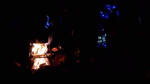 夜の燃える火の近くに親のローストマシュマロの子供たち 友人のグループは クリスマスライトの背景に明るい火災の近くに開いた空気で庭に集まりました クリスマス — ストック動画