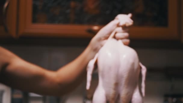 Zamknij Się Kucharz Trzymający Surowe Oskubane Kurczaki Domowej Kuchni Wypatroszony — Wideo stockowe