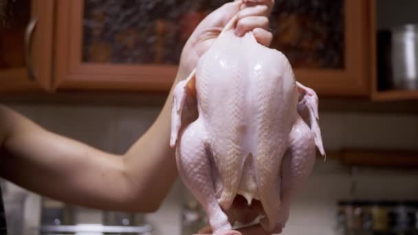 クローズアップ シェフハンド ホームキッチンで生の汚れた鶏の死体を保持します フレッシュブロイラーチキン 羽とドラムスティックのダックフレーム ピンクの栄養鶏肉 自宅でチキンを調理する — ストック動画