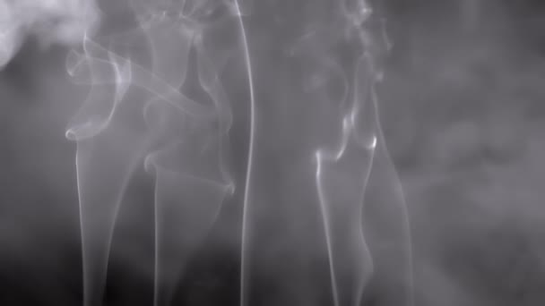 Λεπτές Μπούκλες Γκρίζου Καπνού Αναδύονται Γεμίζοντας Κενό Χώρο Μαύρο Φόντο — Αρχείο Βίντεο