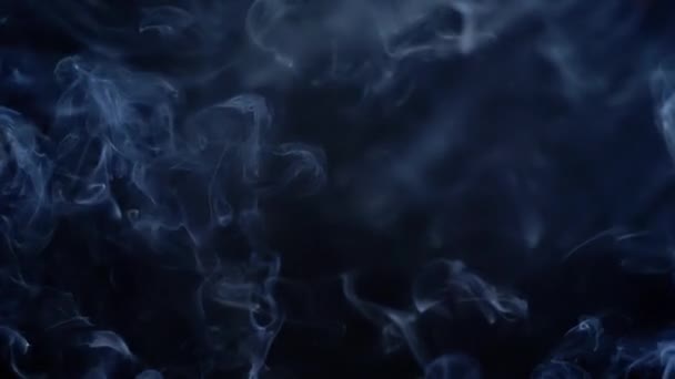 Cienkie Loki Blue Smoke Rise Wypełniając Puste Miejsce Czarne Tło — Wideo stockowe