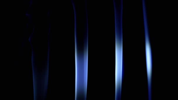 在霓虹灯照明的黑色背景下 蓝色离子烟雾的细流升起 流动的烟雾闪烁着 复制空间 柔和的线条纹理 香喷喷 放松点模糊的动议 — 图库视频影像