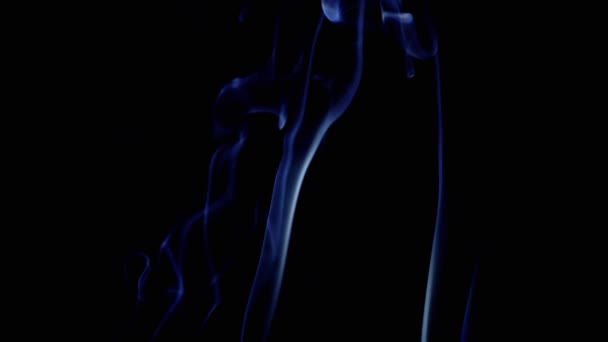 浓密的蓝烟卷起 填满了空虚的空间 黑色背景 香喷喷的烟雾 抽象形状 烟一样的漩涡冒着浓烟霓虹灯 模糊的动议 — 图库视频影像