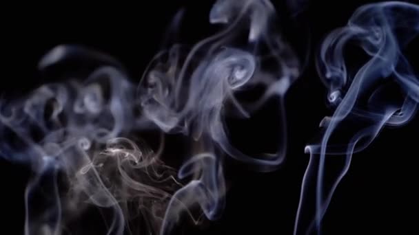Тонкие Кудри Голубого Дыма Поднимаются Заполняют Пустое Пространство Черном Фоне — стоковое видео