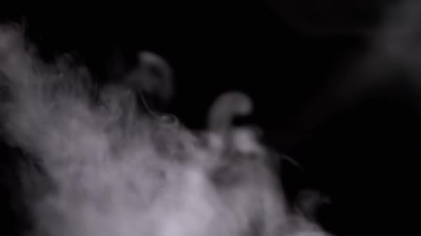Stream Swirling White Smoke Steam Empty Background Fondo Negro Textura — Vídeos de Stock