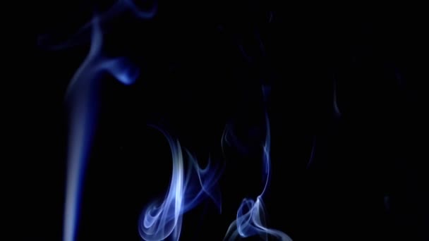 Тонкі Завитки Блакитного Диму Піднімаються Заповнюючи Порожній Простір Чорний Фон — стокове відео