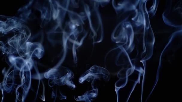 Λεπτές Μπούκλες Του Μπλε Καπνού Αυξηθεί Συμπληρώστε Κενό Χώρο Μαύρο — Αρχείο Βίντεο