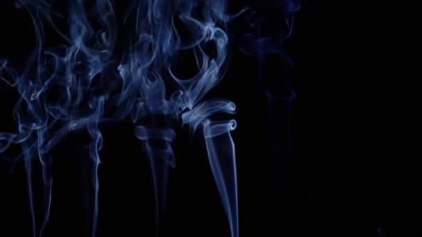 青い煙の薄いカールは上昇し 黒い背景に空のスペースを満たします インセンススティック 抽象的な形状 テクスチャー 美しい煙の雲が渦巻いている 浮遊する霧 煙が流れる ブレイクした動き ライト — ストック動画