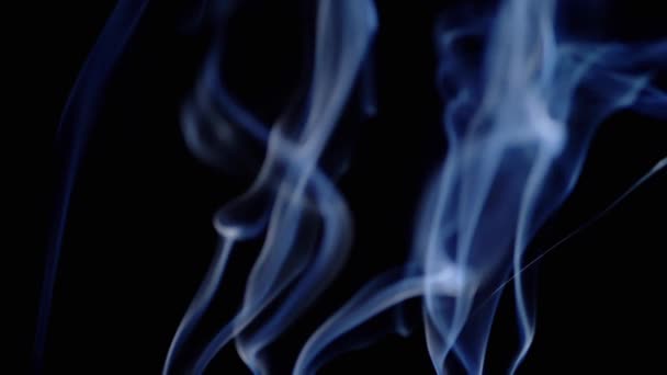 Tenké Kadeře Modrého Kouře Stoupat Vyplnit Prázdné Místo Černém Pozadí — Stock video