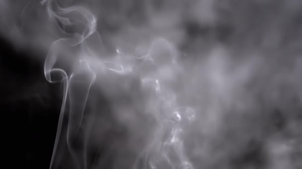 灰色の煙の薄いカールは上昇し 空のスペースを満たします 黒い背景 インセンススティック スモッグ 抽象的な形状 ミスト テクスチャー 煙の雲が渦巻いている 浮遊する霧 — ストック動画