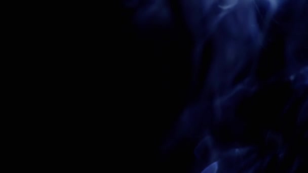 Grube Loki Lodowatego Niebieskiego Dymu Wznoszą Się Promieniach Neonowego Światła — Wideo stockowe