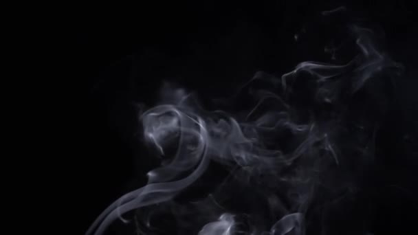 浓密的白烟卷起 填满了空虚的空间 黑色背景 香喷喷的烟雾 抽象形状 烟一样的漩涡飘着浓雾 飘着浓烟 模糊的动议 — 图库视频影像