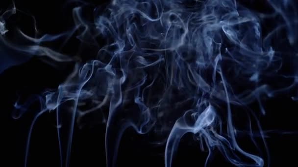 浓密的蓝烟卷起 在黑色背景上填满空旷的空间 香喷喷的抽象形状 美丽的烟云旋转着 飘着浓雾 飘着浓烟 模糊的动议 — 图库视频影像