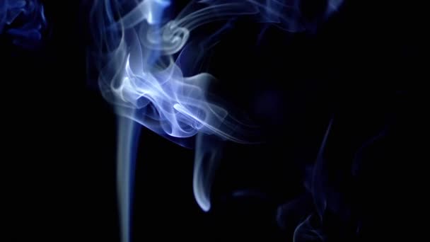 Тонкие Кудри Голубого Дыма Поднимаются Заполняя Пустое Пространство Чёрный Фон — стоковое видео