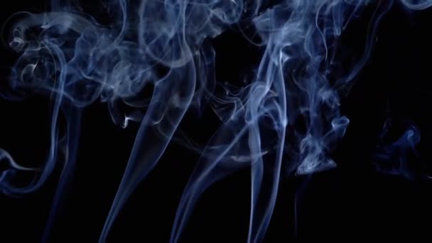 Thin Curls Blue Smoke Rise Fill Empty Space Black Background — Stock Video