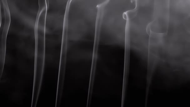 Szürke Füst Vékony Fürtjei Felemelkednek Megtöltve Üres Teret Fekete Háttér — Stock videók