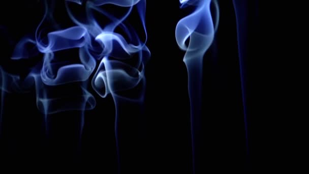 Thin Curls Blue Smoke Rise Fill Empty Space Black Background — Stock Video