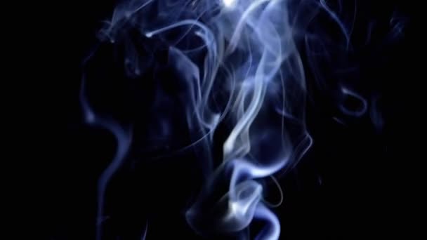 浓密的蓝烟卷起 填满了空虚的空间 黑色背景 香喷喷的烟雾 抽象形状 烟一样的漩涡飘着浓雾 飘着浓烟 模糊的动议 — 图库视频影像