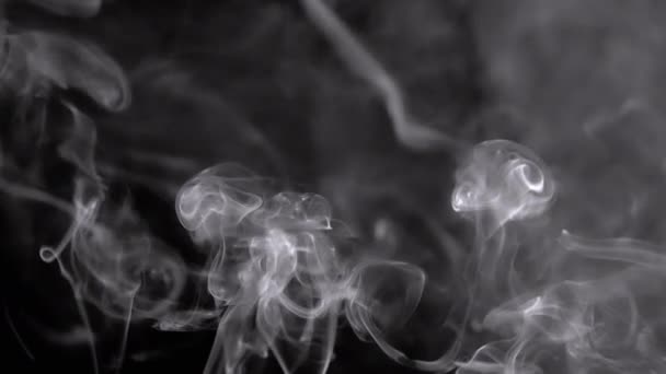 灰色の煙の薄いカールは上昇し 空のスペースを満たします 黒い背景 インセンススティック スモッグ 抽象的な形状 ミスト テクスチャー 煙の雲が渦巻いている 浮遊する霧 — ストック動画
