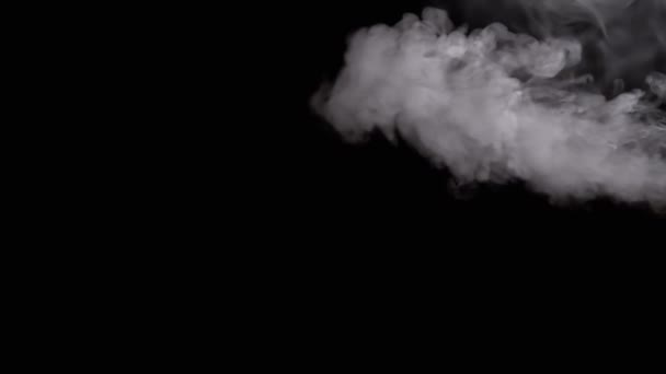 Blowing Soft Thick White Smoke Isolated Black Background Rings Side — Stock Video