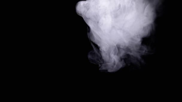 Bílý Mrak Hustého Kouře Rozpouští Černém Pozadí Prázdném Prostoru Rozmazaný — Stock video
