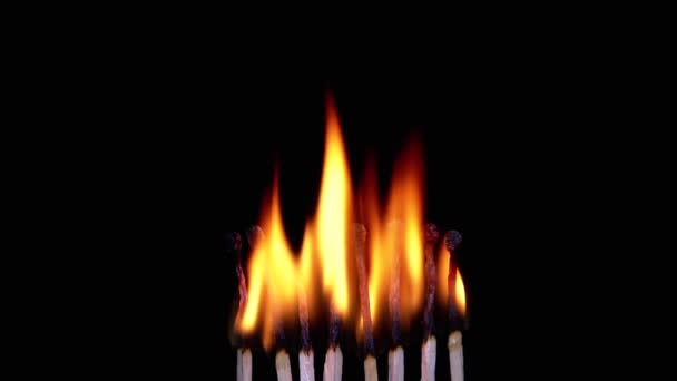 Close Lots Burning Matches Soft Bright Flame Black Background Aislado — Vídeos de Stock