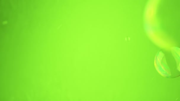 近距离观察 大量的大肥皂泡漂浮在空旷空间的绿色背景上 混乱的运动 吹透明的彩虹水球 模糊的运动 集中注意力 孤立无援铬键 — 图库视频影像