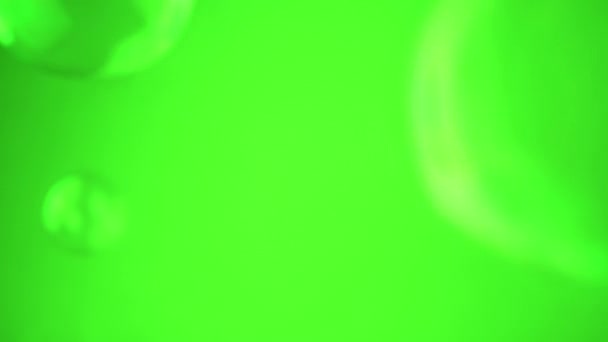 グループソープバブルは 空のスペースの緑の背景に浮かぶ クローズアップ 透明な虹彩水球を吹き飛ばしています アブストラクト ブレイクされた動き 孤立した クロマキー コピースペース — ストック動画