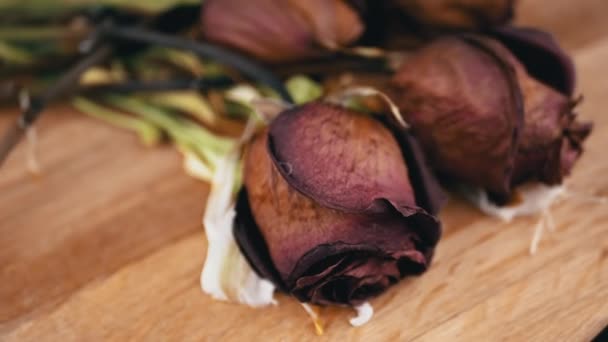 말린된 장미의 꽃다발 천천히 배경에 건조한 봉오리의 턴테이블에 건조된 사랑의 — 비디오